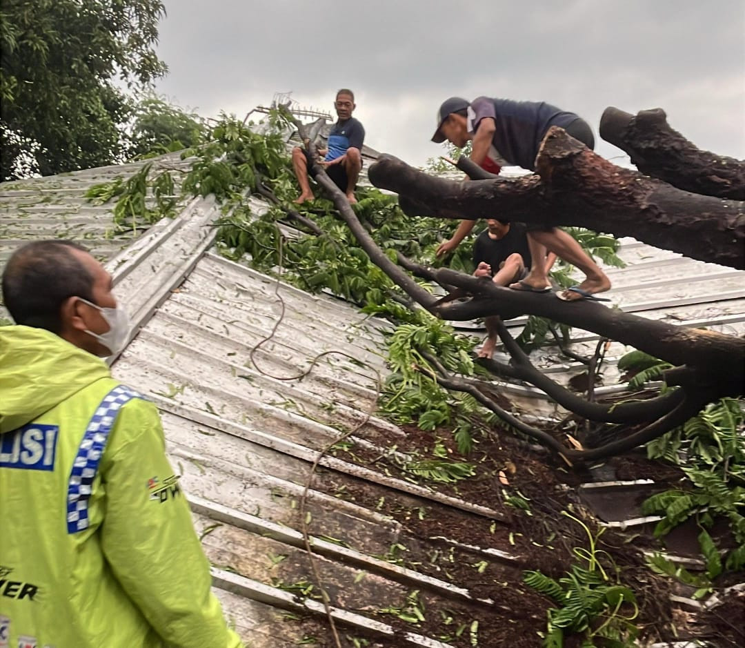 Respons Cepat Call Center 112, Polsek Pondok Gede Tangani Laporan Pohon Tumbang