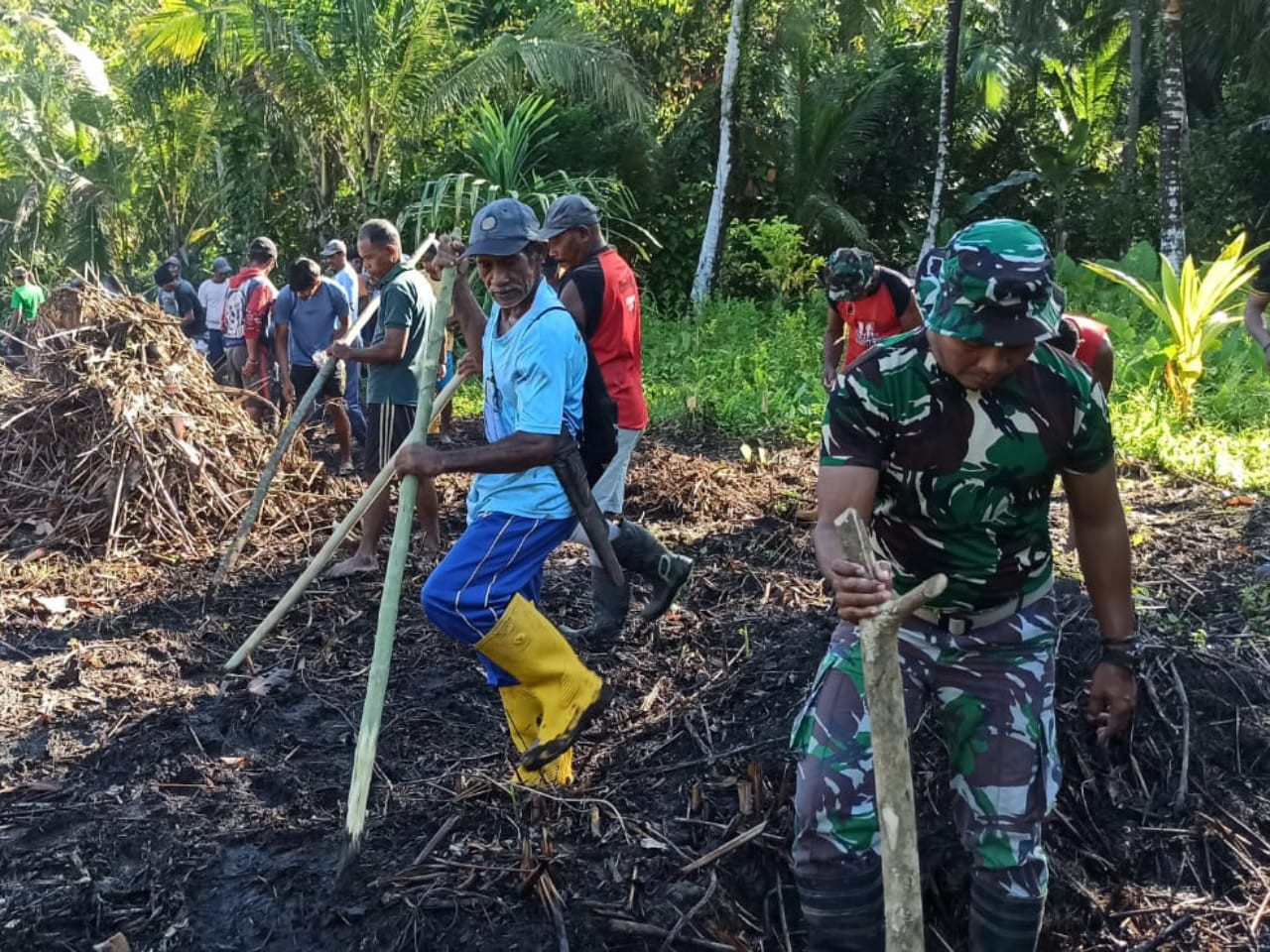 Satgas TMMD ke-126 Kodim 1505/Tidore Bersama Masyarakat Tanam Jagung di Lahan Ketahanan Pangan