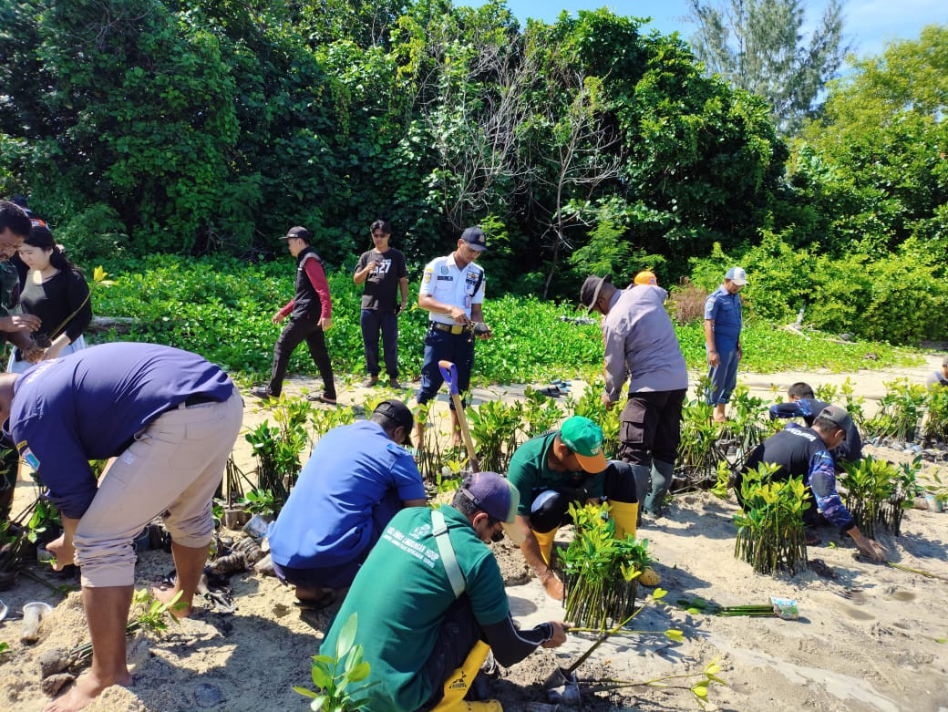Polisi Baik dan Humanis: Kapolsubsektor Pulau Pari Bersama Unsur Terkait Tanam 2.500 Pohon Mangrove