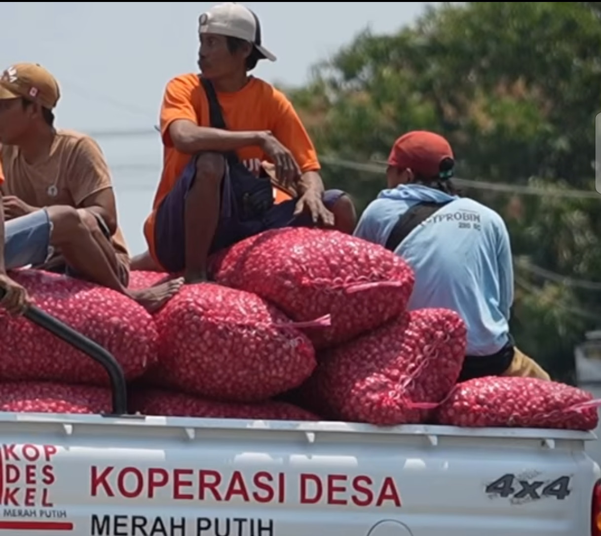 Berdayakan Ekonomi Desa, KDKMP di Nganjuk Serap Bawang Petani di Atas Harga Pasar