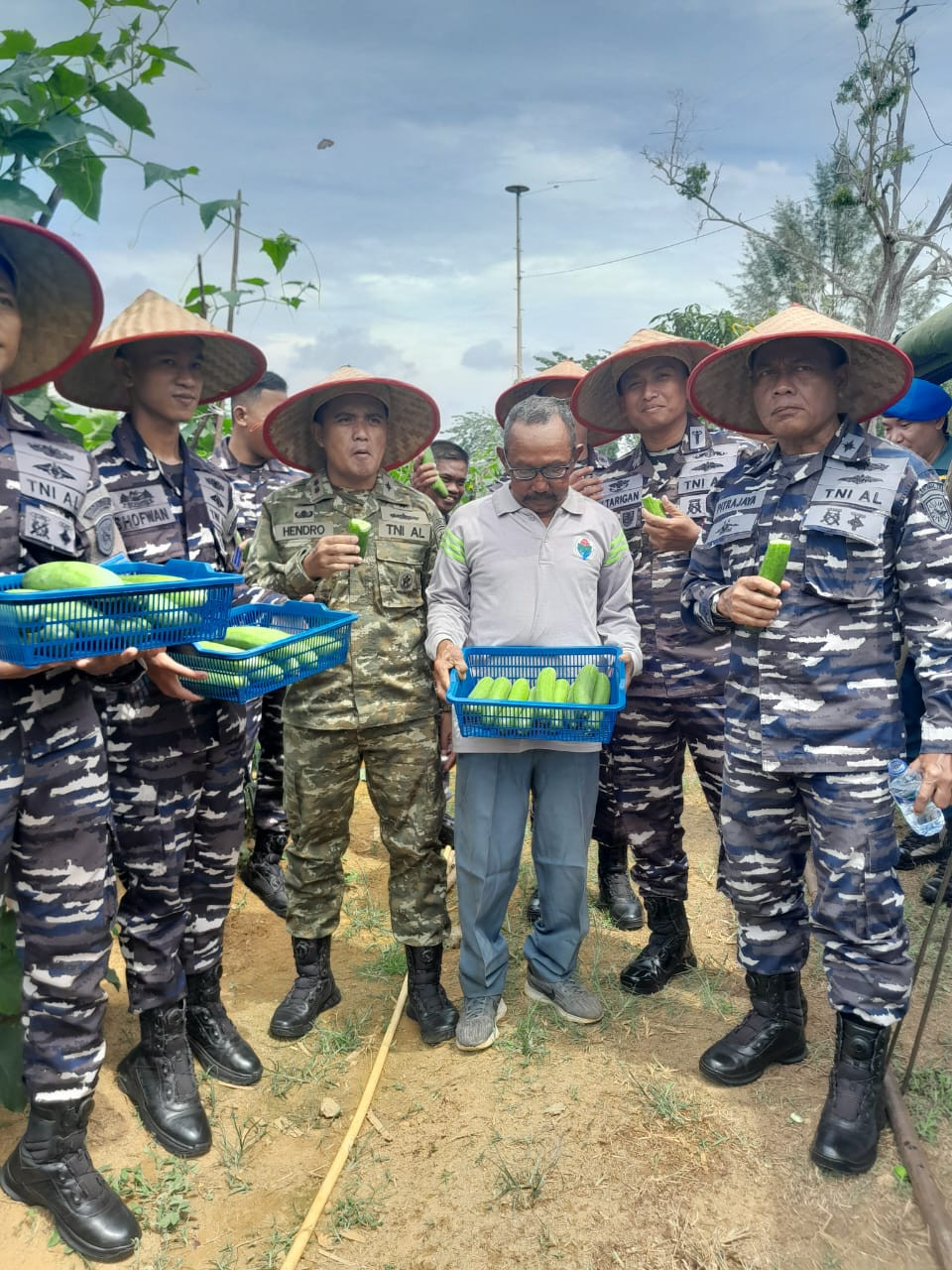 Lanal Dabo Singkep Laksanakan Panen Ketimun Dalam Program Ketahanan Pangan TNI AL 2025