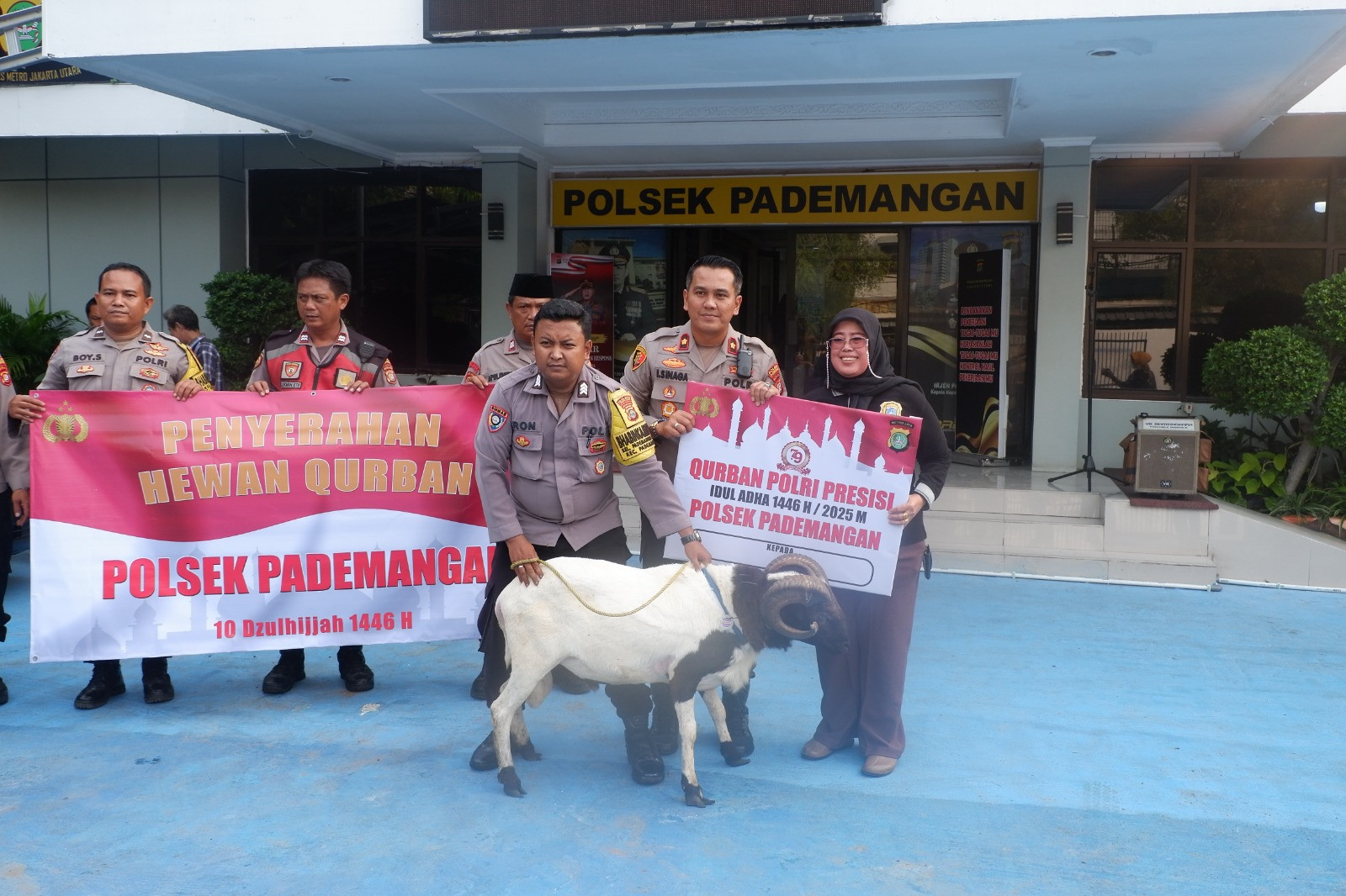 Polsek Pademangan Serahkan Hewan Qurban: Wujud Kepedulian dan Sinergi di Hari Raya Idul Adha 1446 H