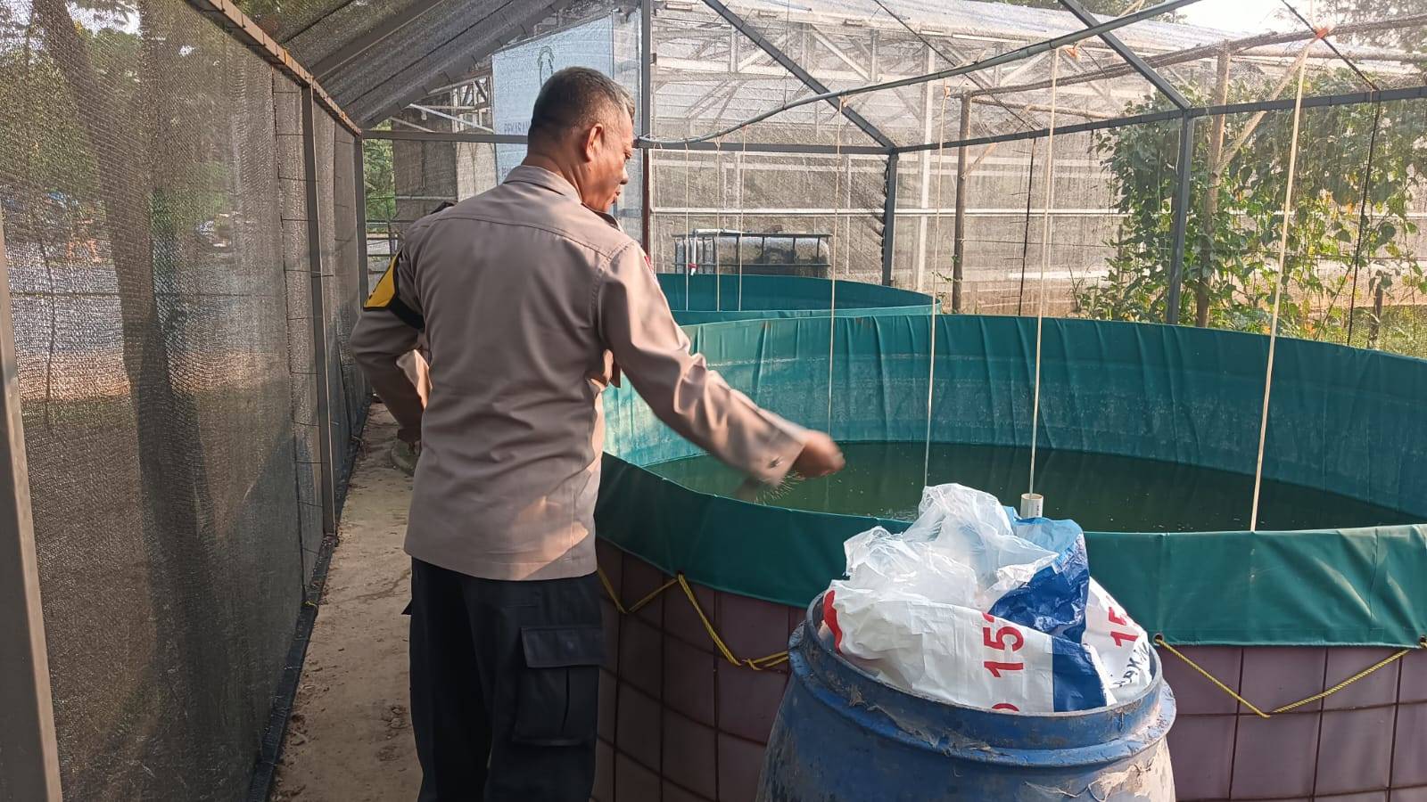 Bhabinkamtibmas Padurenan Tebar Pakan Lele, Dukung Program Ketahanan Pangan Polres Metro Bekasi Kota
