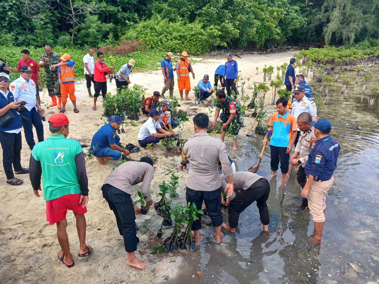 Polisi Peduli Lingkungan, Kapolsubsektor Pulau Pari Ikuti Penanaman 1.800 Pohon Mangrove