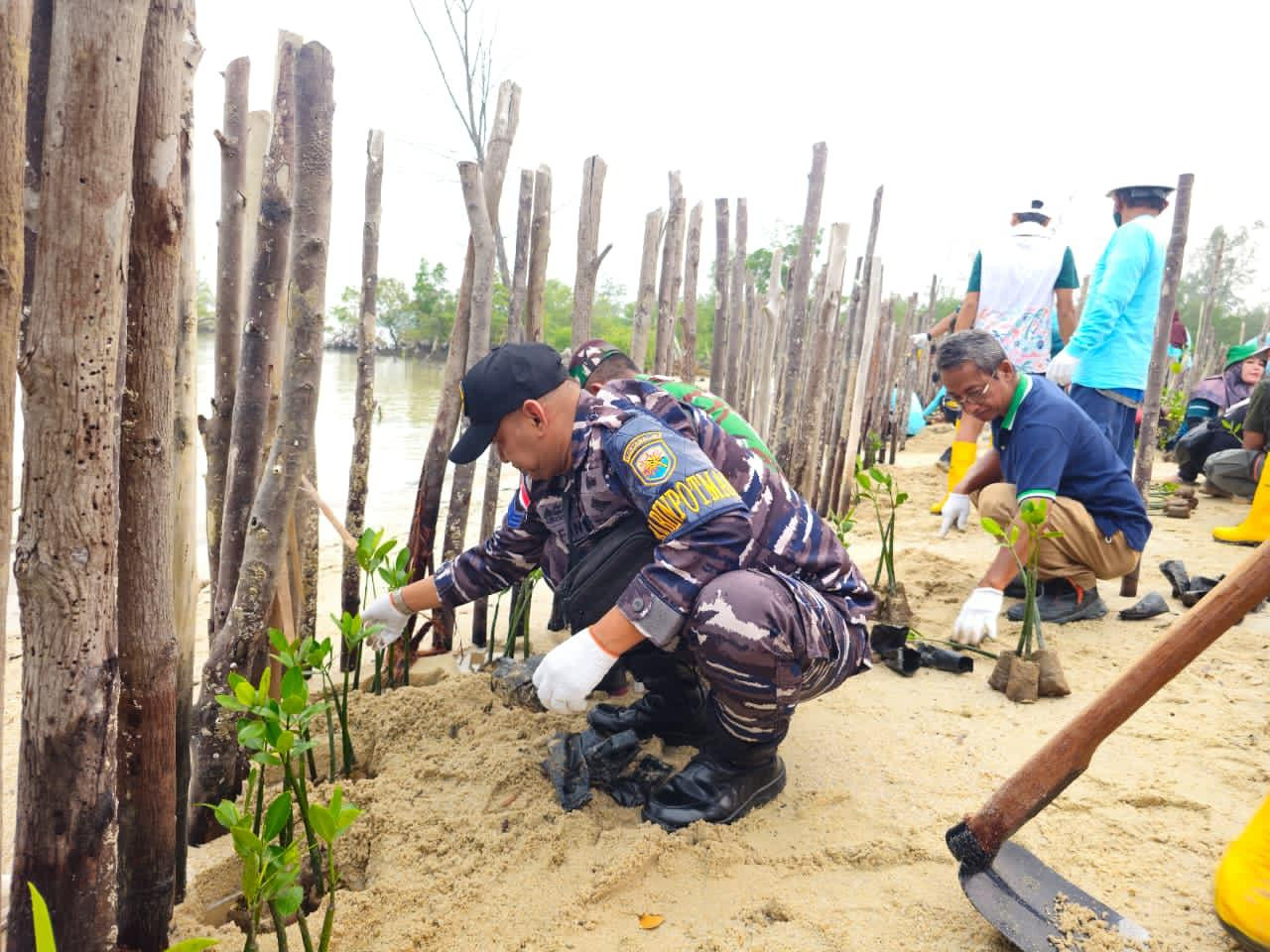 Posbinter Lobam Bersinergi Dengan PT. BIIE Tanam Mangrove, Wujud Kepedulian Terhadap Kelestarian Ekosistem Pesisir Bintan