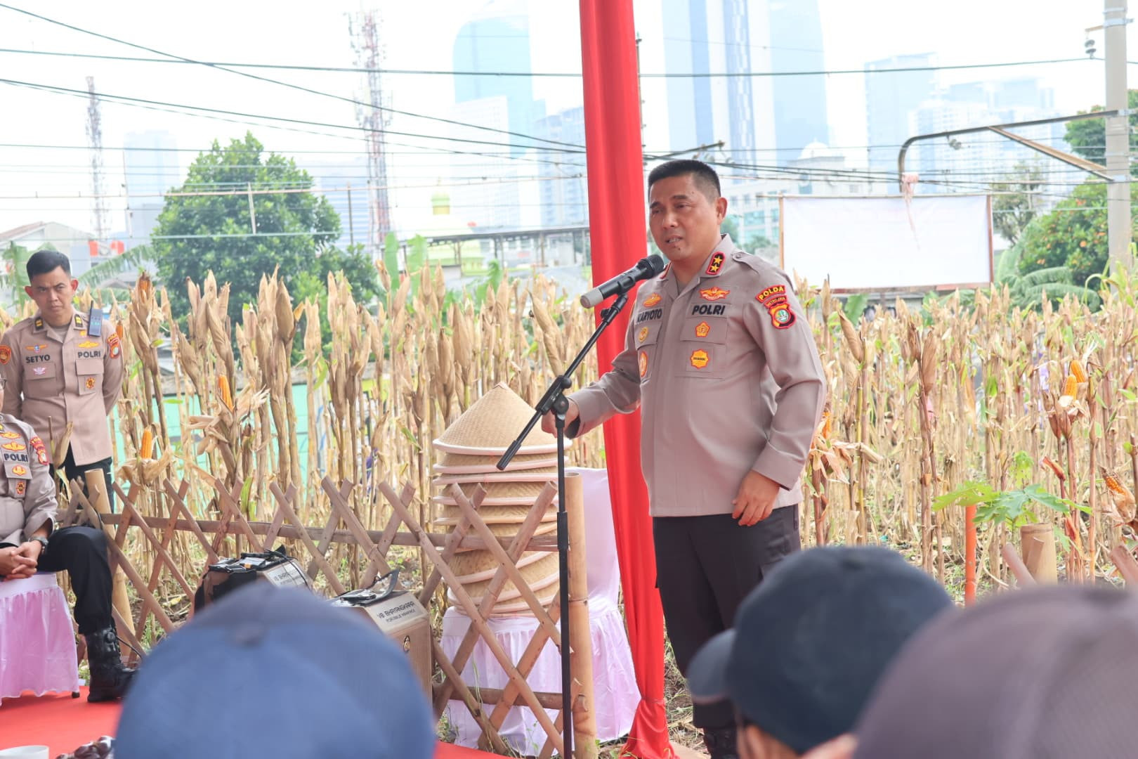 Polda Metro Jaya Panen Jagung di Bantaran Kali Ciliwung Tanah Abang, Jakarta Pusat