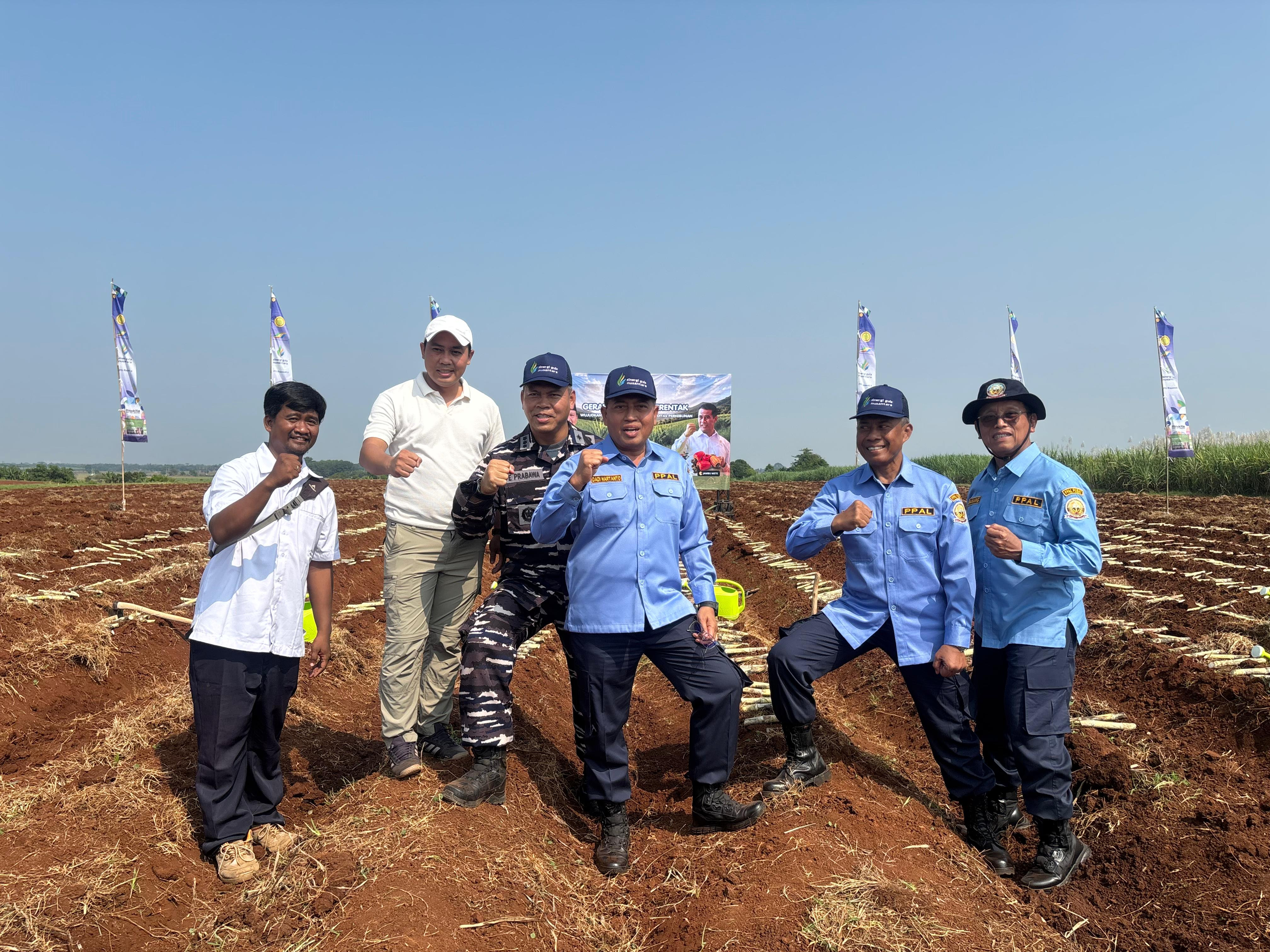 PPAL Ambil Bagian Dalam Gerakan Tanam Tebu Serentak Nasional di Subang