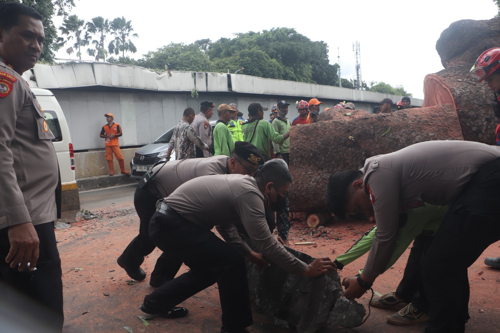 Ditpamobvit Polda Metro Jaya Gerak Cepat Evakuasi Pohon Tumbang Dekat Stasiun MRT Jakarta