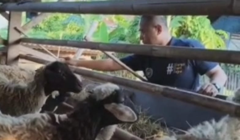 Kisah Inspiratif Polisi di Bekasi Bina Peternakan Kambing dan Unggas, Bantu Warga Naik Kelas Ekonomi