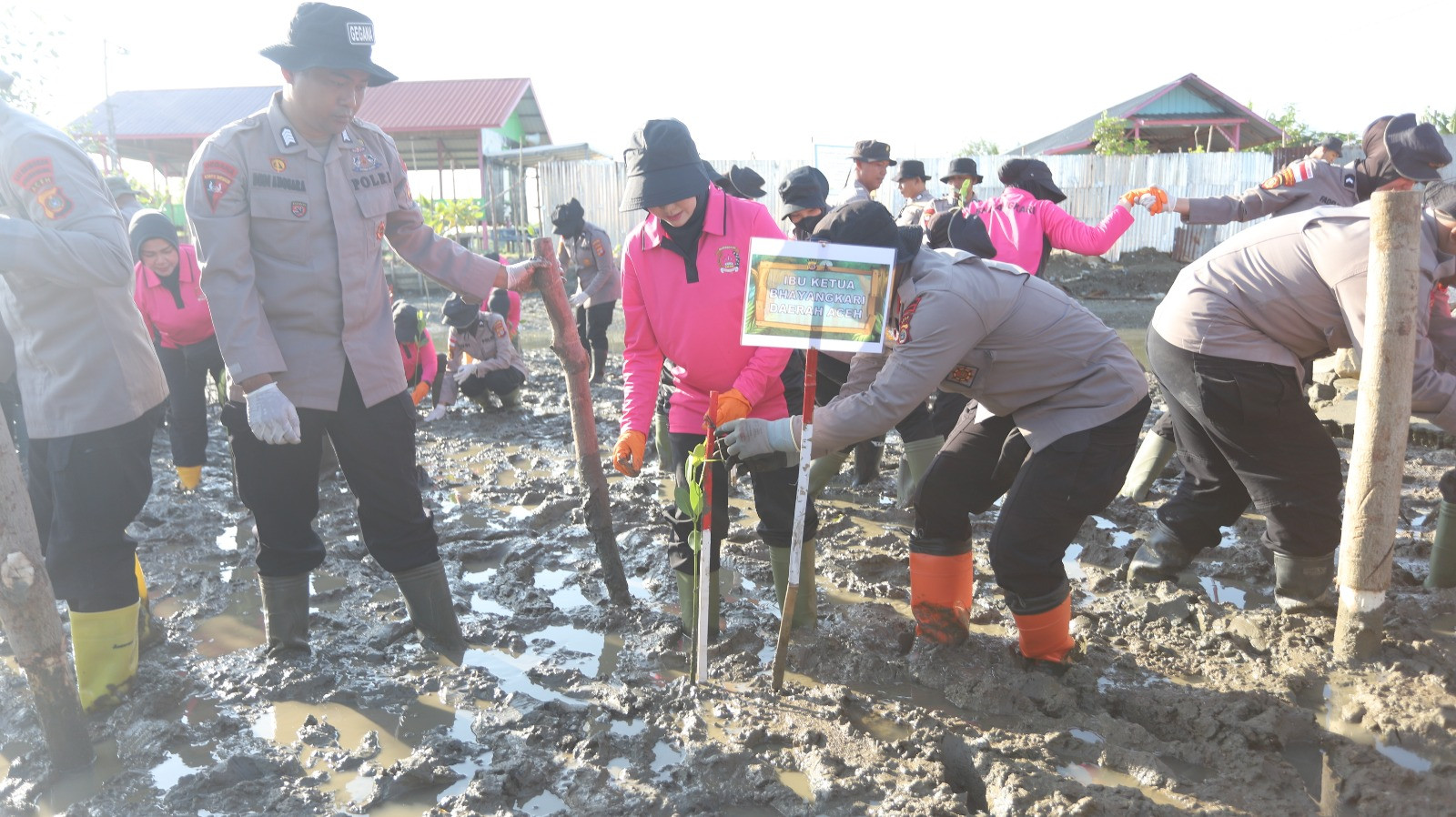 Green Policing Polda Aceh, Tanam 10 Ribu Mangrove untuk Perkuat Ketahanan Ekologi dan Ekonomi Desa Pesisir