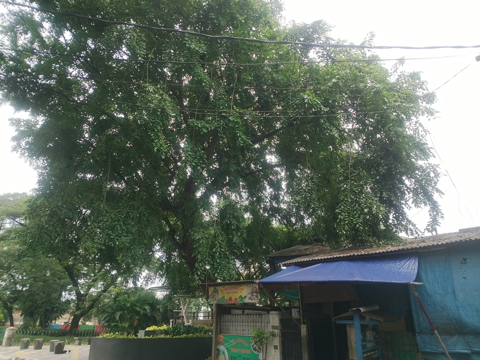 Ranting Menutup Atap, Warga Sunter 2 Khawatir Keselamatan Terancam