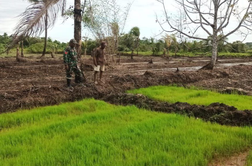 Babinsa Kuala Kencana Gelar Komsos Sembari Motivasi Para Petani Binaan