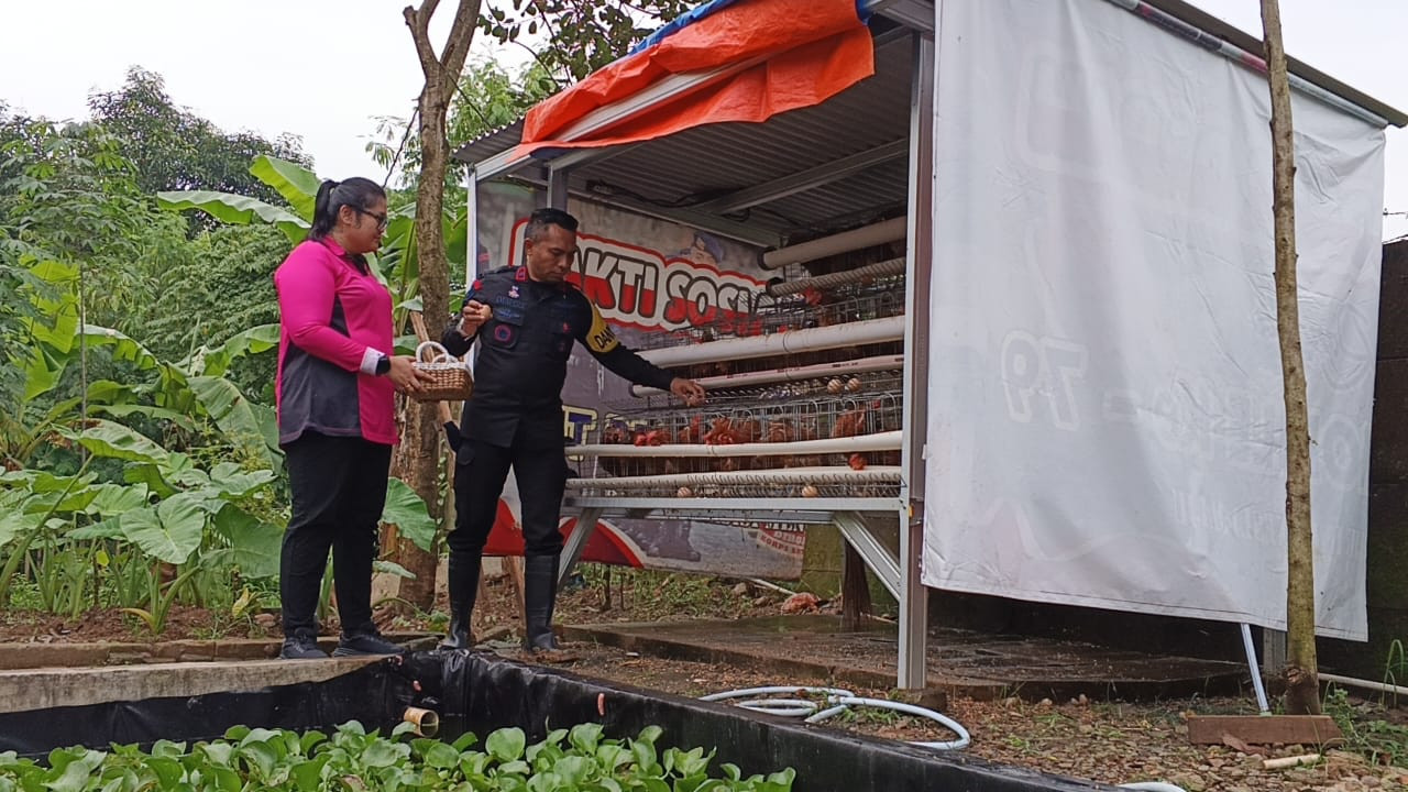 Komandan Batalyon D Pelopor Brimob Polda Metro Jaya Panen Ikan Lele dan Gelar Buka Puasa Bersama Masyarakat