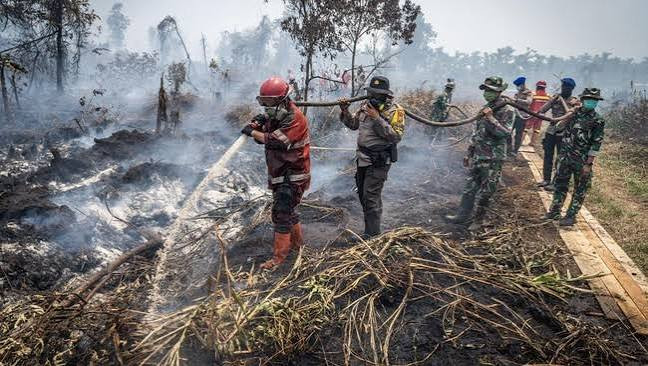 Pemerintah Kerahkan Seluruh Sumber Daya, Penanganan Karhutla Dipercepat