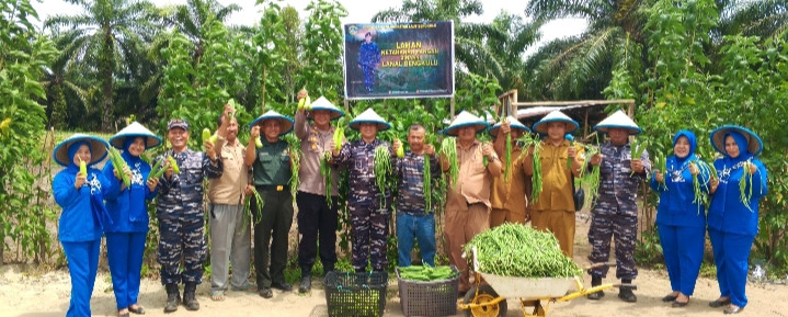 Dukung Program Ketahanan Pangan Nasional, Lanal Bengkulu Kelola Lahan Ketahanan Pangan Bersama Masyarakat
