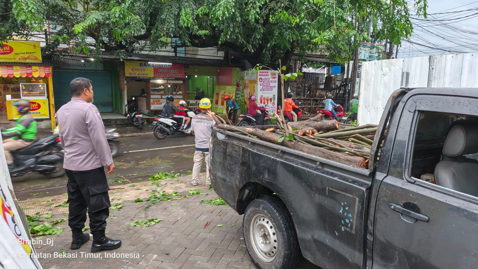 Respon Cepat 112: Pohon Tumbang di Depan RS Sentosa Berhasil Dievakuasi, Lalu Lintas Normal
