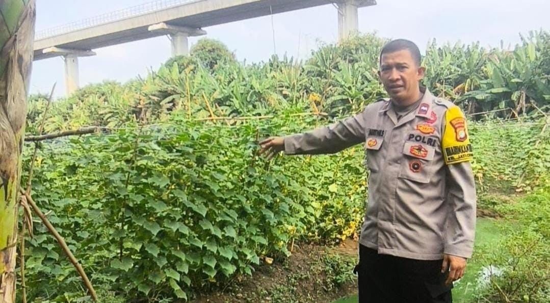 Sambang Lokasi Ketahanan Pangan oleh Bhabinkamtibmas Kelurahan Jaticempaka