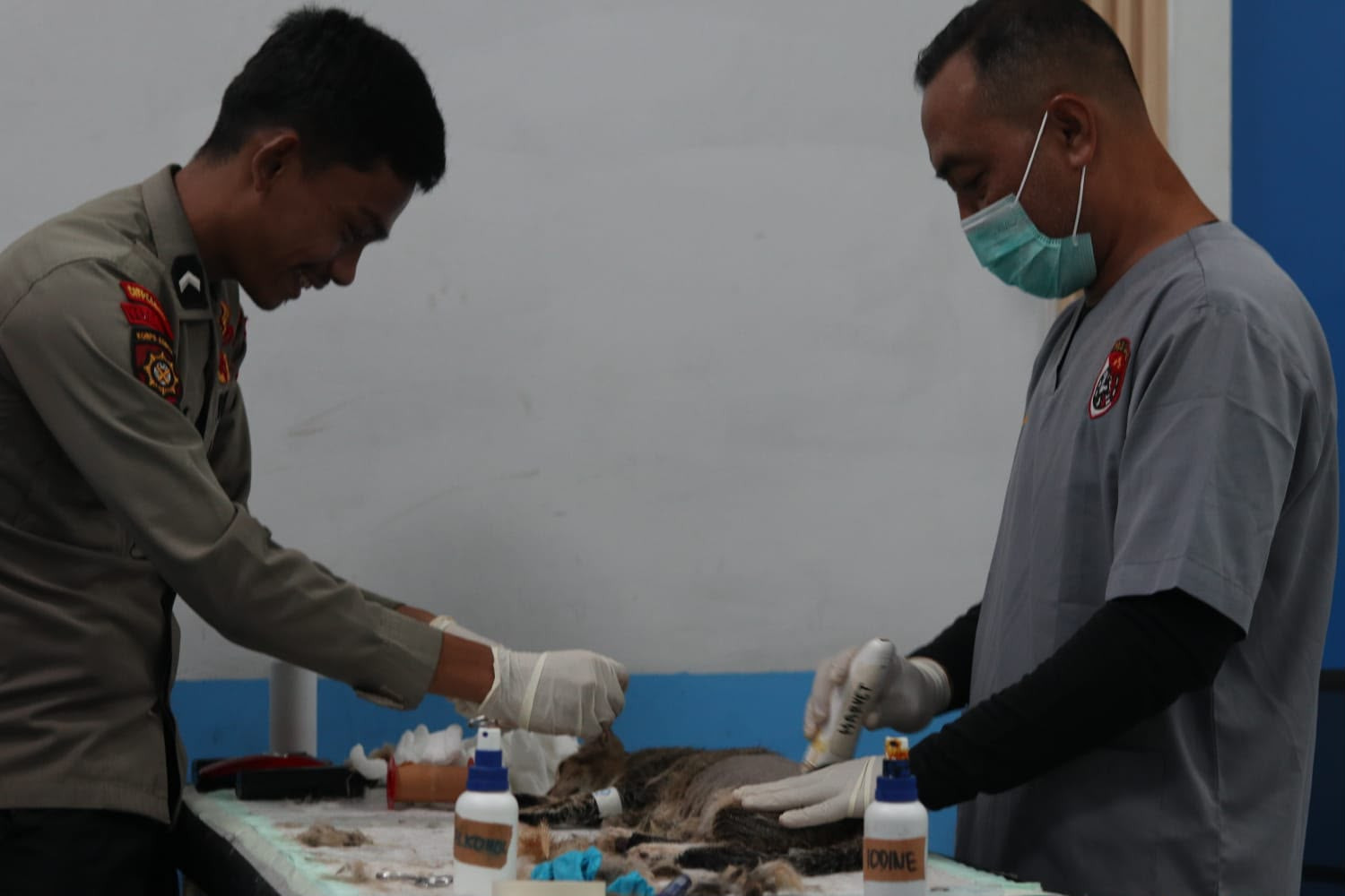 Polri Sterilisasi Puluhan Kucing, Dukung Pengendalian Populasi Hewan secara Bertanggung Jawab