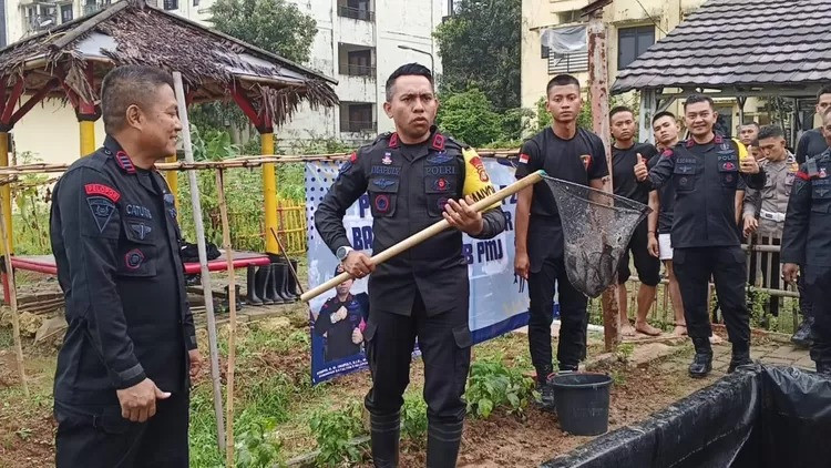 Satuan Brimob Polda Metro Jaya Dukung Ketahanan Pangan Melalui Program Budidaya Tanaman dan Perikanan