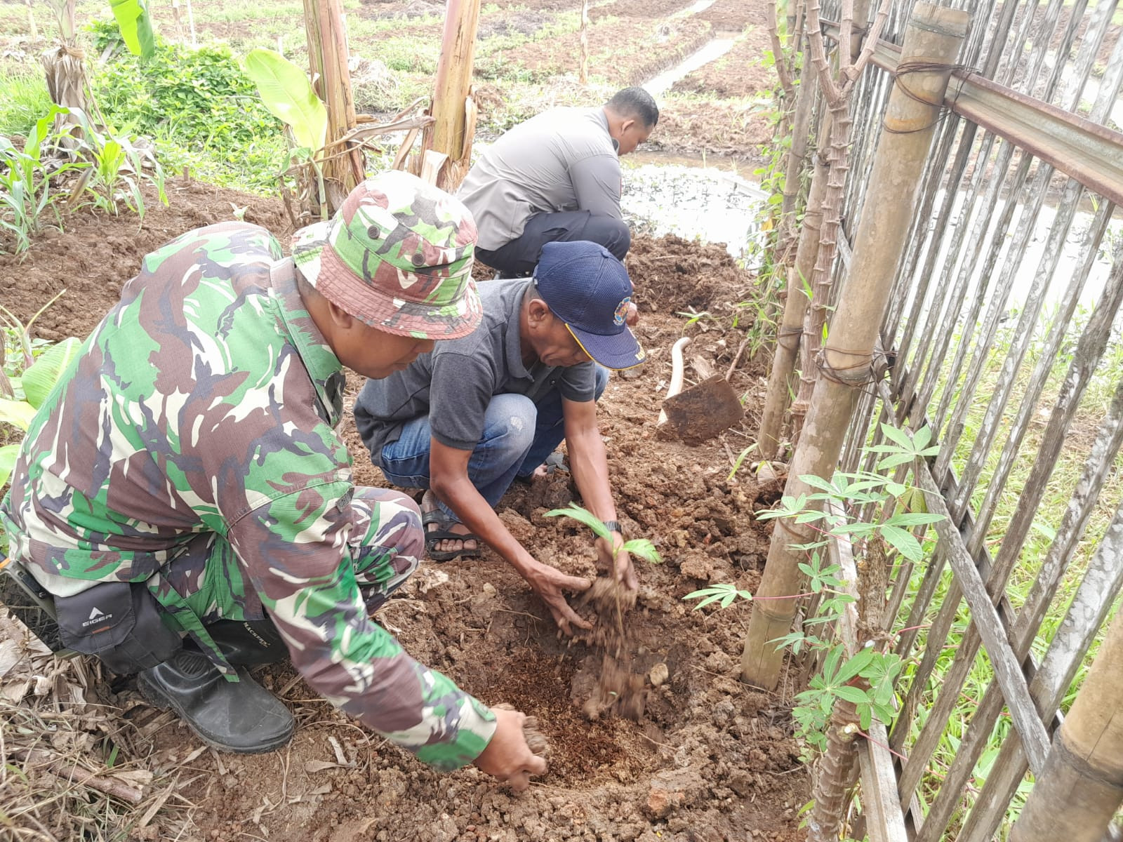 Sinergitas TNI-Polri Tanam 100 Bibit Pohon Sukun untuk Dukung Ketahanan Pangan Nasional