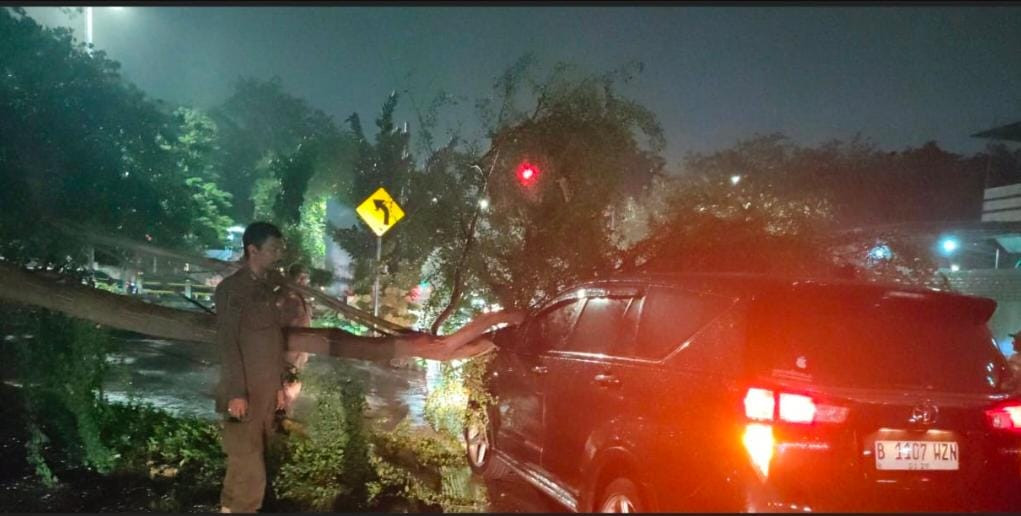Sigap! Satpol-PP Tanjung Priok Bersama Warga Evakuasi Pohon Tumbang
