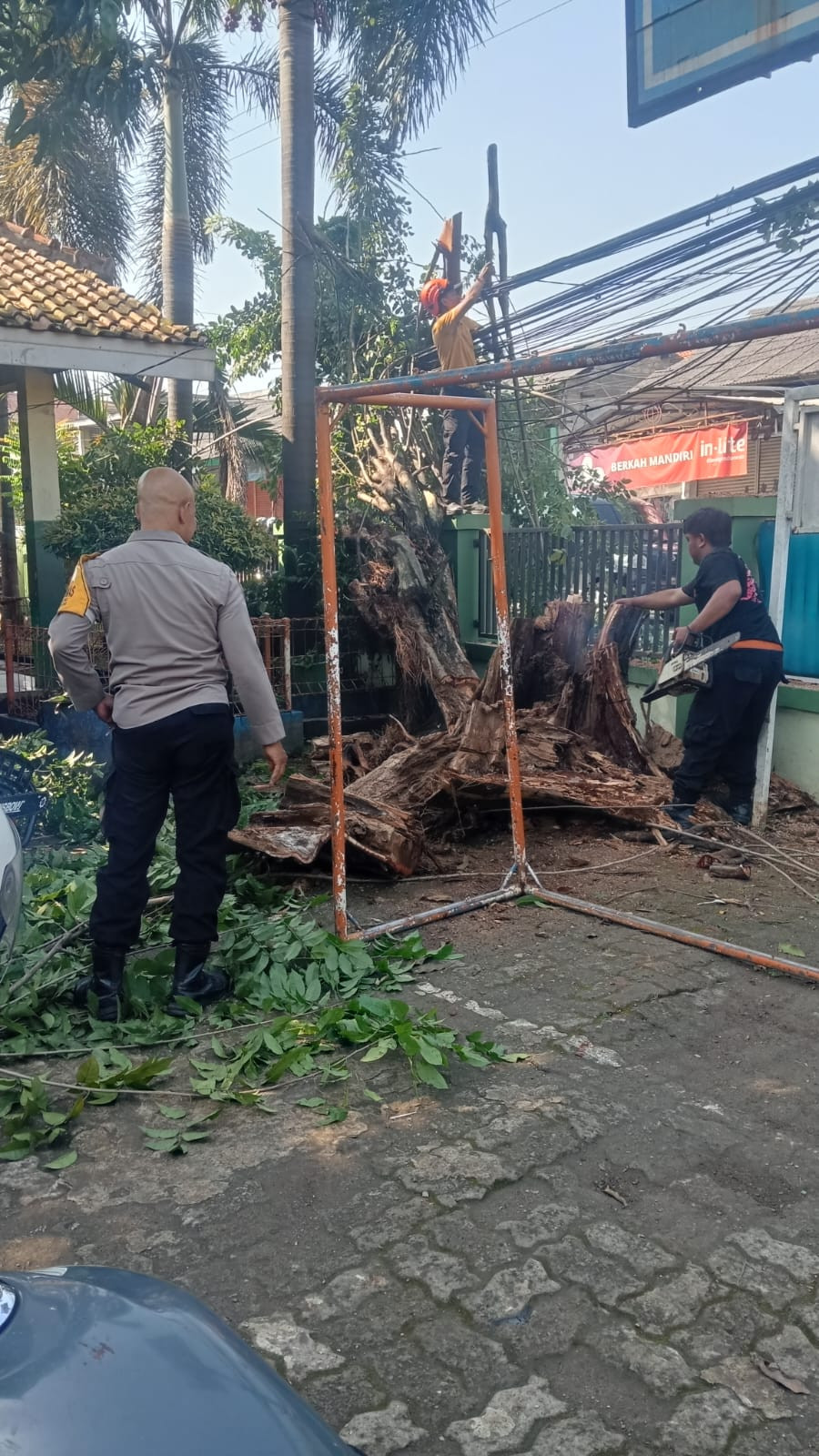 Respon Cepat, Polsek Bantargebang Bersama BPBD Bekasi Evakuasi Pohon Tumbang yang Tutupi Jalan